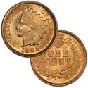 Indian Head Cent 1895