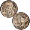 1934 D Buffalo Nickel